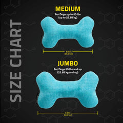 Playology Plush Squeaky Bone , All Natural Peanut Butter Scented Plush Dog Toy