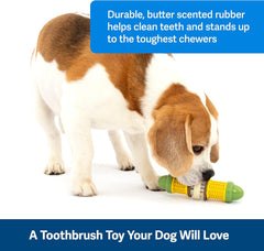 PetSafe Busy Buddy Cravin’ Corncob Dog Toys – Treat Ring Holding Chew Toy – BPA Free Rubber – Butter Scented – Interactive Pet Puzzle for Boredom or Separation Anxiety – Small to MediumDogs