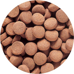 Hikari Tropical Massivore Delite Fish Food