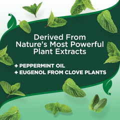 HERO PET Vet's Best Natural Flea and Tick Wipes for Dogs – Natural Plant-Based Wipes for Flea and Tick Prevention – Certified Essential Oils – Pest Control for Kennels and Home Use – Made in USA – 50 Count