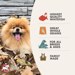 Fromm Four-Star Nutritionals Whitefish & Potato Dog Food - Premium Dry Dog Food - Whitefish Recipe
