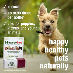 HomeoPet Liver Rescue, Safe and Natural Liver-Support Supplement for Cats, Dogs, and Other Small Animals, 15 Milliliters