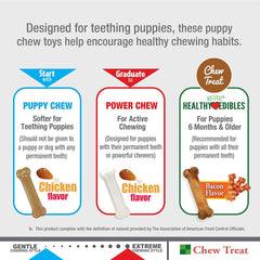Nylabone New Puppy Starter Kit, 2 Chew Toys and 1 Natural Treat for Puppies, Bacon & Chicken Flavor