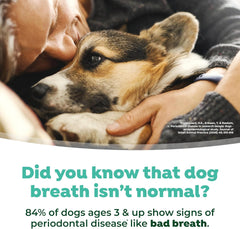 TropiClean Fresh Breath Water Additive for Puppies | Breath Freshener and Teeth Cleaning Solution | No Toothpaste or Toothbrush Required |