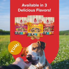 PLATO Original Real Strips Turkey & Pumpkin , Natural