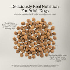 Now Fresh Grain-Free Premium Dry Dog Food with Lamb & Pork, Healthy Kibble for Adults Made with Real Red Meat, Chicken-Free Recipe, Enhanced with Pumpkin & Probiotics for Good Digestion, 22 lb Bag