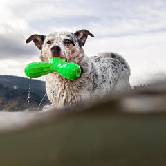 Hound2O Outdoor Dog Toys | Squeaky Boomerang Chew Toy for Dogs | Bright Color for Interactive Play | Durable Toy Made from Non-Toxic Materials