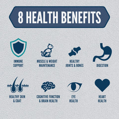 ORIJEN Guardian Senior Dry Cat Food, Grain Free Cat Food for Senior Cats, WholePrey Ingredients