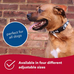 Coastal Pet Styles Adjustable Dog Collar - Stylish Patterned Fabrics - Snap-Lock Buckle - Adjustable Dog Collar - for Small, Medium or Large Dogs - Red Bones