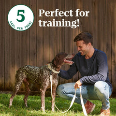 Nutro Crunchy Dog Treats with Real Peanut Butter