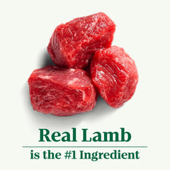 Nutro Natural Choice Adult Dry Dog Food, Lamb and Brown Rice Recipe