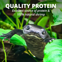 TetraFauna ReptoTreat Gammarus 0.35 Ounce, Shrimp Treat For Aquatic Turtles, Newts And Frogs