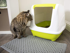 Petlinks Purr-fect Paws Multipurpose Cat Litter Mat