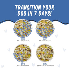 Weruva Best Fido Friend Fun Size Meals for Dogs, Wham Bam