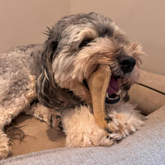 SPOT Dura-Fused Leather Small Bone – Real Leather & Jute Fabric, Double-Stitched & Durable, Squeaky Interactive Chew Toy for Moderate Chewers, Small & Medium Dogs, Soft Stuffed Fetch Toy