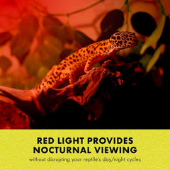 Zilla Incandescent Spot Bulb, for Nocturnal Reptile Species, Night Red