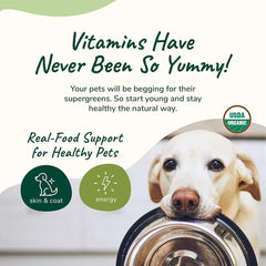 kin+kind Organic Multivitamin for Dogs & Cats - Vitamins and Supplements for Healthy Skin and Coat - Natural Formula with Wheatgrass, Kelp, Flax Seed, Seaweed and Coconut