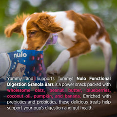 Nulo Functional Granola Bars, Healthy Dog Treats, Oven Baked, Made with Prebiotics and Probiotics, Contains No Added Salt, Sugar, or Molasses, 10 Ounce Bag