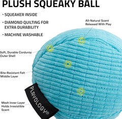 Playology Plush Squeaky Ball | Engaging All Natural Peanut Butter Scented Plush Dog Toy with Interactive Squeaker for Large to X-Large Dogs 50lbs & up | Easy to Clean | Squeak, Chew, Fetch, and Play