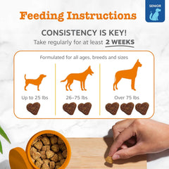 Zesty Paws Dog Allergy Relief - Anti Itch Supplement - Omega 3 Probiotics for Dogs - Digestive Health - Soft Chews for Skin & Seasonal Allergies - with Epicor Pets - Senior - Salmon - 90 Count