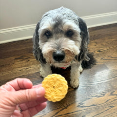 Exclusively Dog Cookies Sandwich Cremes Peanut Butter Flavor Dog Treats for Medium and Large Dogs, Natural and Made in The USA, 8 oz