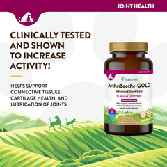 NaturVet ArthriSoothe-Gold Level 3, MSM and Glucosamine for Dogs and Cats, Advanced Joint Care Support Supplement with Chondroitin and Omega 3, Clinically Tested, Chewable Tablets