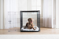 Precision Pet SnooZZy Sheepskin Bolster Crate Mat, white