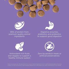 Go! Solutions Carnivore, Grain-Free, Protein Rich Dry Dog Food, Chicken, Turkey and Duck Senior Recipe, 22 lb Bag