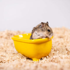 Americas Choice PETSPICK Aspen Soft Pet Bedding for Small Animals, 24L