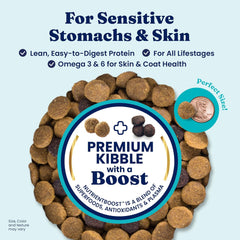 Solid Gold Salmon Dog Food for Sensitive Stomachs – Grain Free & Gluten Free Kibble w/Probiotics to Support Gut Health & Digestion - Sensitive Stomach Dog Food for All Ages – Nutrientboost™ 22-lb