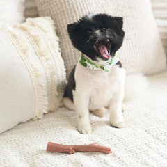 SPOT Bam-Bones Plus Branch -Bamboo Fiber & Nylon, Durable Long Lasting Dog Chew for Aggressive Chewers – Great Toy for Adult Dogs & Teething Puppies Under 60lbs, Non-Splintering, Beef Flavor