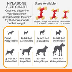 Nylabone Double Bone Power Chew Toy for Dogs, Dog Toys for Aggressive Chewers, Bacon Flavor, X-Small