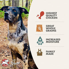 Fromm Chicken & Rice Pate Dog Food - Premium Wet Dog Food - Chicken Recipe - Case of 12 Cans