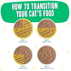 Weruva B.F.F. OMG - Best Feline Friend Oh My Gravy!, Chicken & Turkey Text Me with Chicken & Turkey in Gravy 2.75-oz(Pack of 12)
