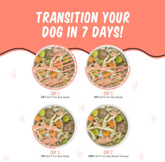 Weruva Best Fido Friend Fun Size Meals for Dogs, We Be Jammin, 2.75oz Cup, Pack of 12