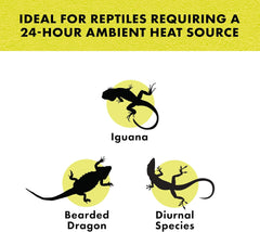 Zilla Incandescent Spot Bulb, for Nocturnal Reptile Species, Night Red