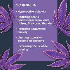 Nulo Functional Calming Dog Supplement, Made with Organic Hemp Seed and Ashwagandha Root, Helps Reduce Dog Stress and Promotes Balanced Behavior, 90 Soft Chews