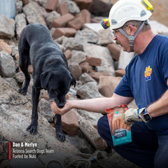 Nulo Premium Jerky Strips Dog Treats, Grain-Free High Protein Jerky Strips made with BC30 Probiotic to Support Digestive & Immune Health 5 Ounce (Pack of 1)