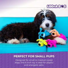 Multipet International Original Loofa Dog Mini Dog Toy (Assorted colors)