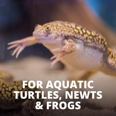 TetraFauna ReptoTreat Gammarus 0.35 Ounce, Shrimp Treat For Aquatic Turtles, Newts And Frogs