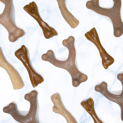 Nylabone Gourmet Style Femur Bone Strong Chew Toy for Puppies, Bacon Flavor, Small - Up to 25 Ibs, 1 Count