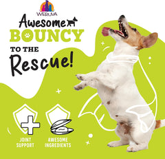 Weruva Awesome Bouncy Wet Dog Food, Chicken & Brown Rice with Veggies