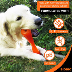 BIONIC Urban Stick Dog Toy, Large - Interactive Dog Chew Toy for Dogs