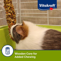 Vitakraft Rabbit/Guinea Pig Popped Grains Treat Sticks - Apple And Orange