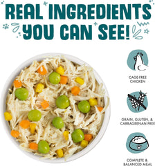 Weruva Classic Dog Food, Funky Chunky Chicken Soup with Chicken Breast & Pumpkin in Gravy (Pack of 12)