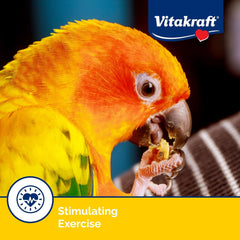 Vitakraft Crunch Sticks Conure Treat - Apple and Orange - Pet Bird Treat Toy