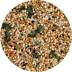 Vitamin Enriched Finch Food