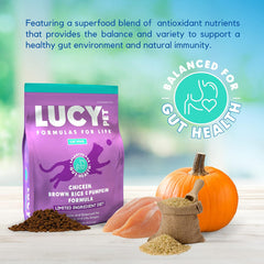 Lucy Pet Products Chicken, Brown Rice & Pumpkin, LID Cat Food