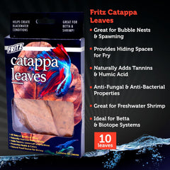 Fritz Catappa Leaves