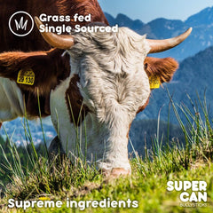 SUPERCAN BULLYSTICKS 6" Beef Bully Sticks for Small Medium Large Dogs (1pc) 100% Natural Dog Chews - Long Lasting Treats for Aggressive Chewers - Healthy Teeth